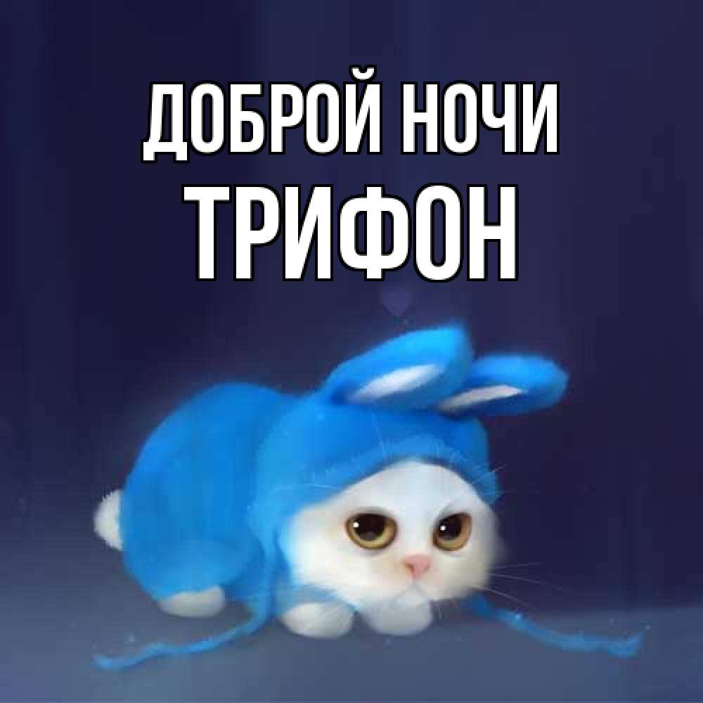 Открытка на каждый день с именем, Трифон Доброй ночи кот в голубом костюме кролика с ушками Прикольная открытка с пожеланием онлайн скачать бесплатно 