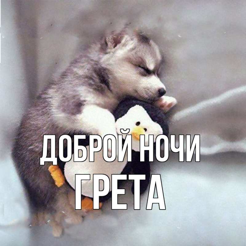 Картинка Доброй ночи, Грета