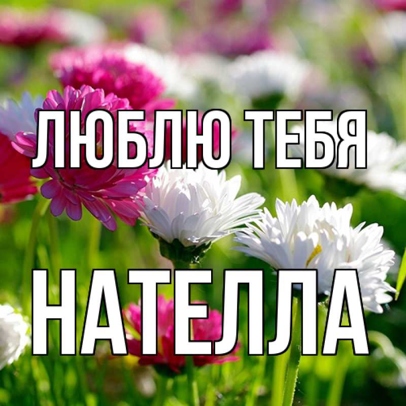 Картинка Люблю тебя, Нателла