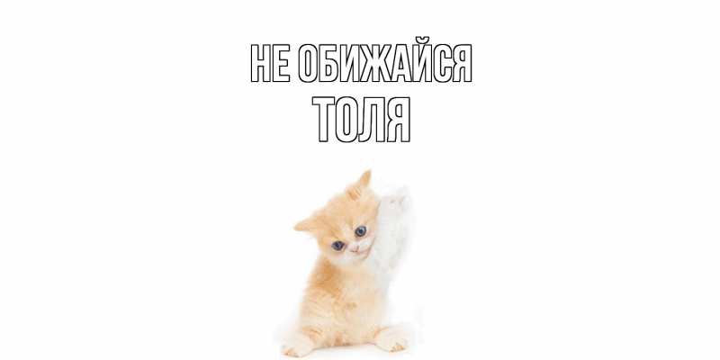 Картинка Не обижайся, Толя