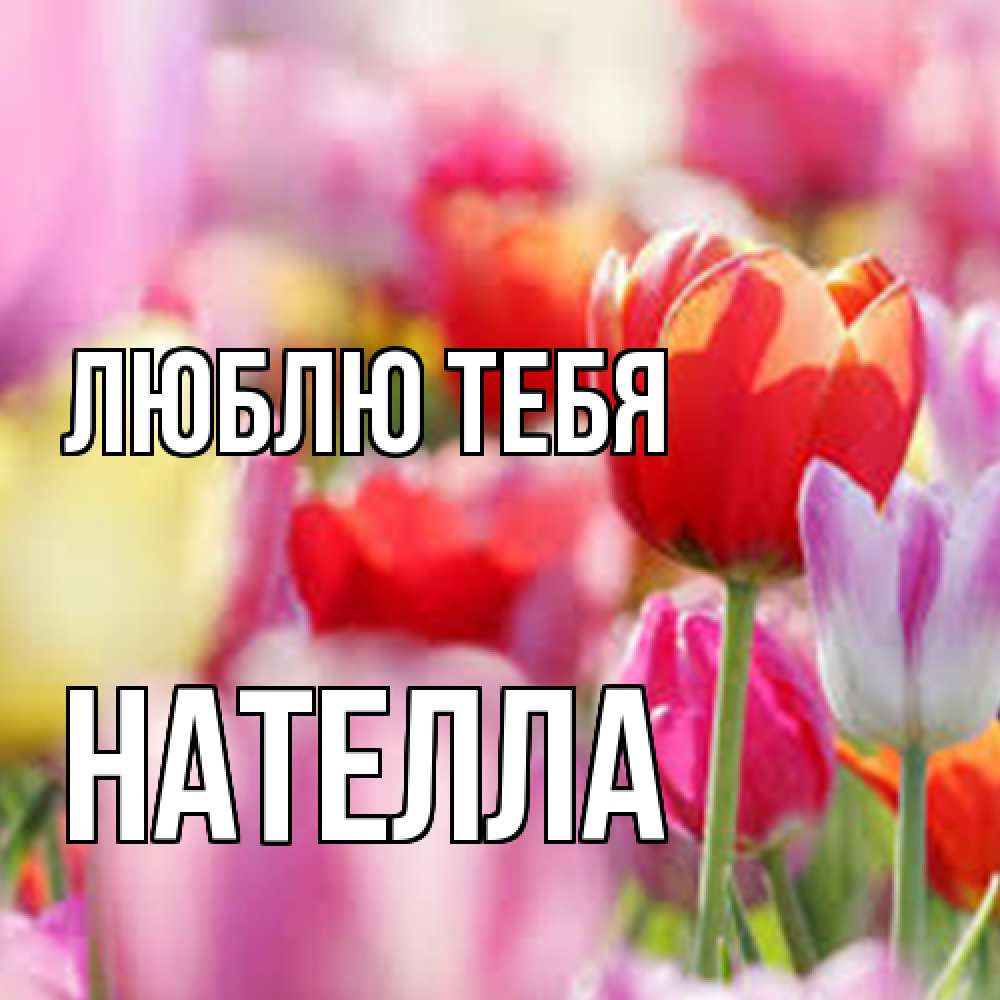 Открытка на каждый день с именем, Нателла Люблю тебя на международный женский день 2 Прикольная открытка с пожеланием онлайн скачать бесплатно 