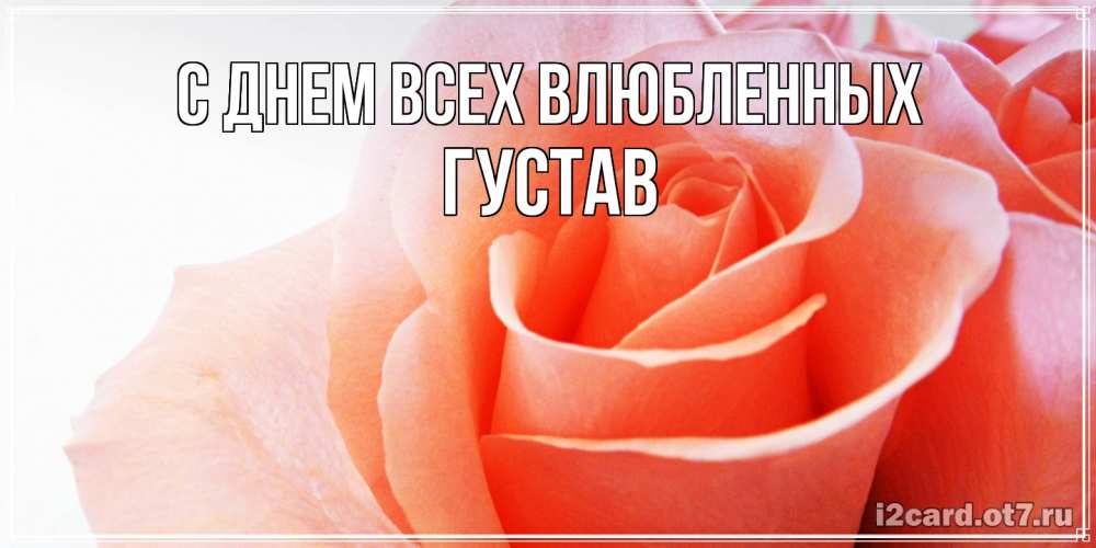 Открытка на каждый день с именем, Густав С днем всех влюбленных открытка на день Святого Валентина с розовой розой Прикольная открытка с пожеланием онлайн скачать бесплатно 