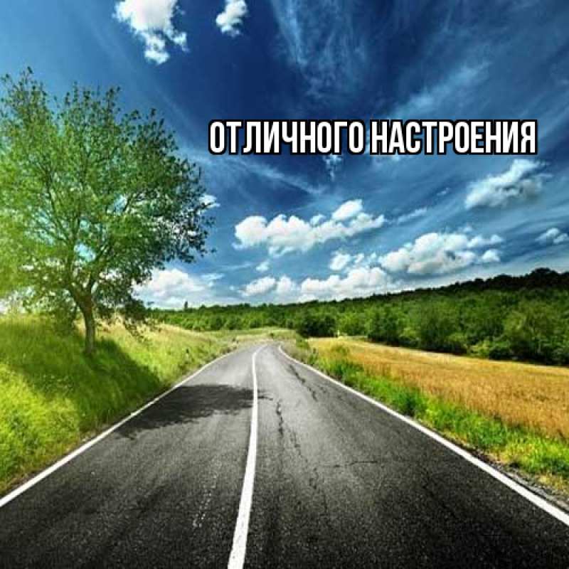 Картинка Удачной поездки, Роза