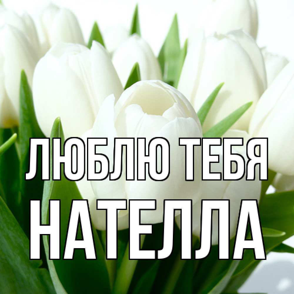 Открытка на каждый день с именем, Нателла Люблю тебя цветы Прикольная открытка с пожеланием онлайн скачать бесплатно 