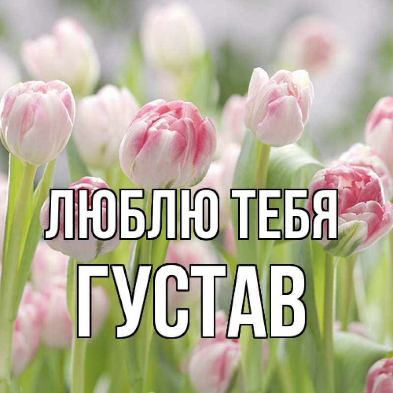 Картинка Люблю тебя, Густав