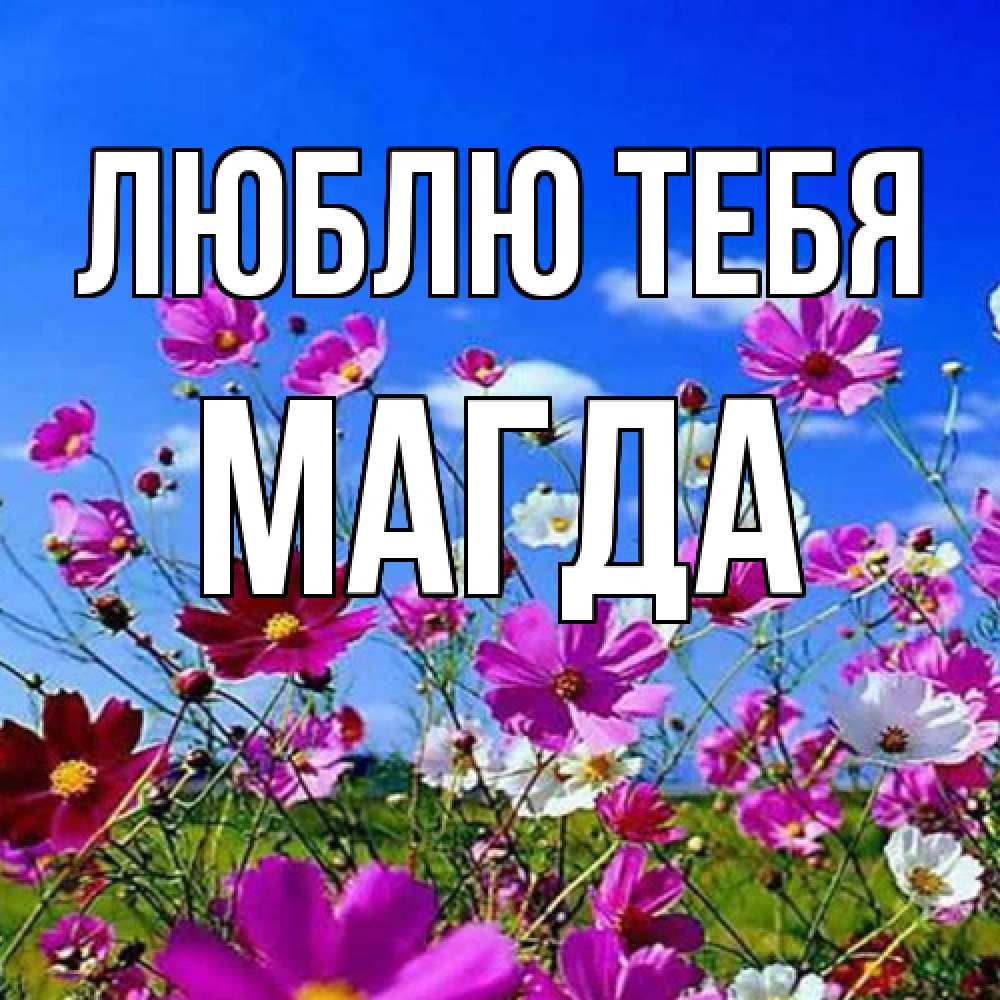 Открытка на каждый день с именем, Магда Люблю тебя цветы Прикольная открытка с пожеланием онлайн скачать бесплатно 