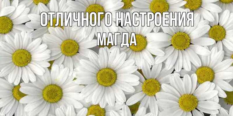 Картинка Отличного настроения, Магда