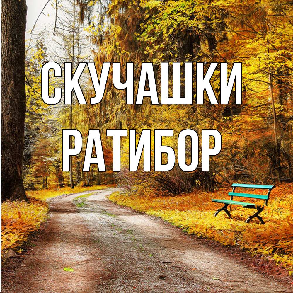 Открытка на каждый день с именем, Ратибор Скучашки зеленая лавочка и осенний лес Прикольная открытка с пожеланием онлайн скачать бесплатно 