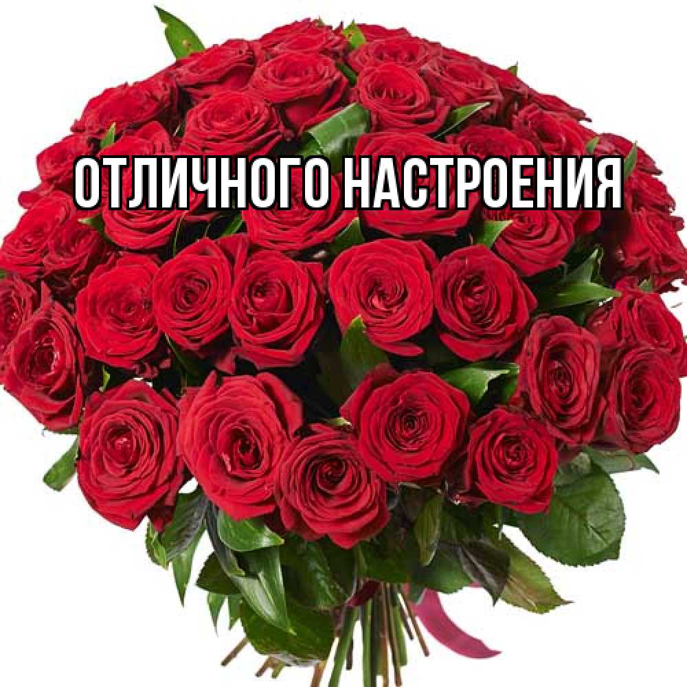 Открытка на каждый день с именем, Толя Большое спасибо букет красных роз Прикольная открытка с пожеланием онлайн скачать бесплатно 