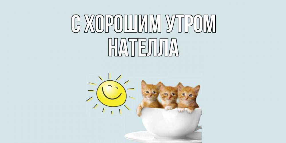 Открытка на каждый день с именем, Нателла С хорошим утром котята Прикольная открытка с пожеланием онлайн скачать бесплатно 