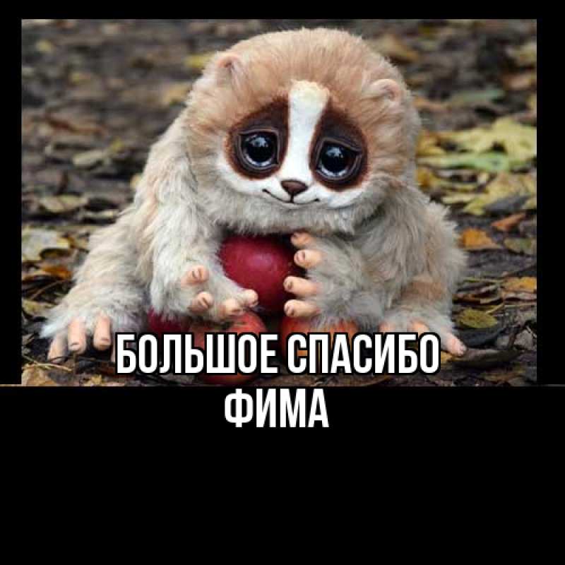 Картинка Большое спасибо, Фима
