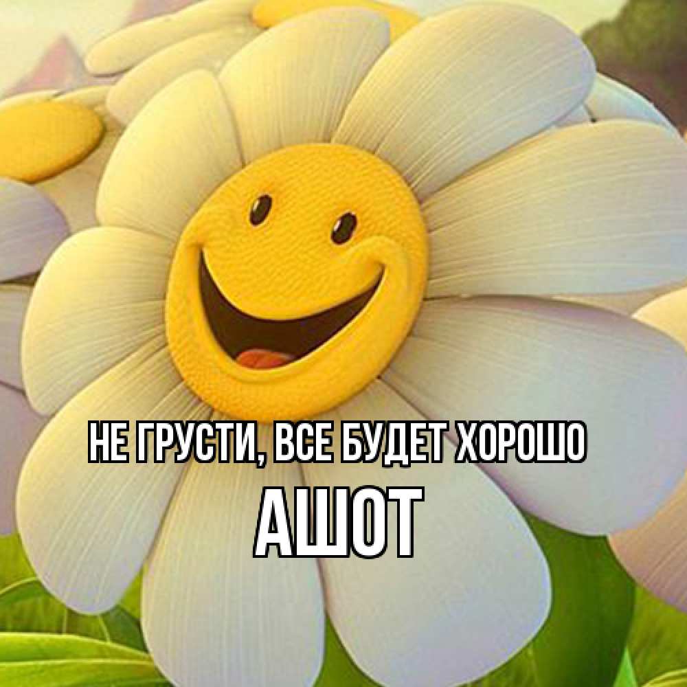 Открытка на каждый день с именем, Ашот Не грусти все будет хорошо огромная улыбающаяся ромашуща Прикольная открытка с пожеланием онлайн скачать бесплатно 