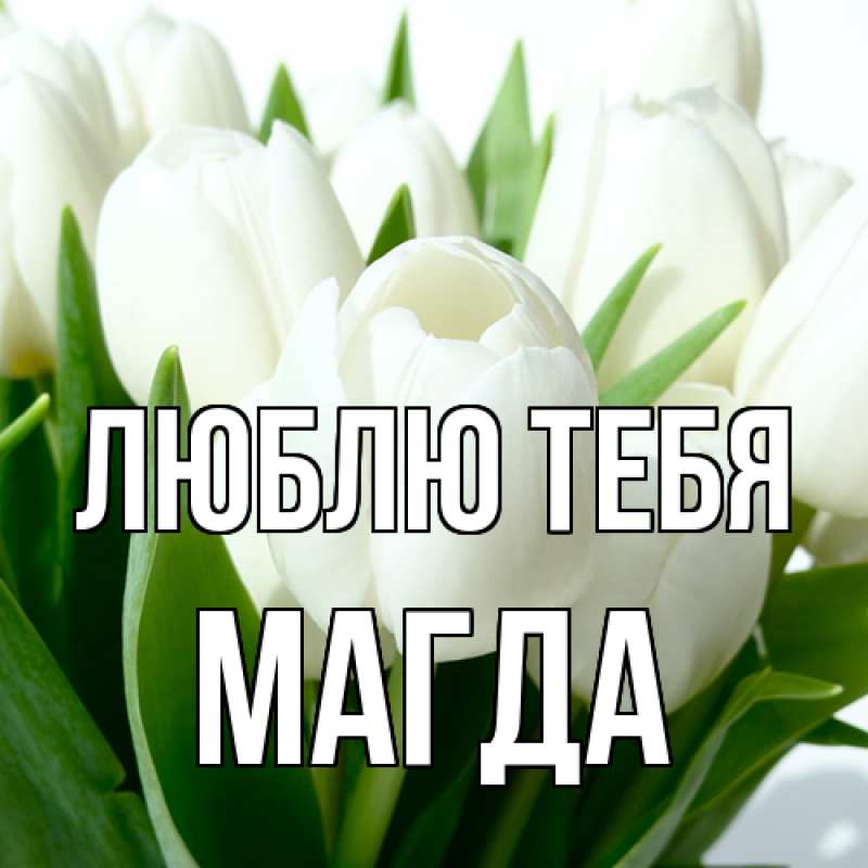 Картинка Люблю тебя, Магда