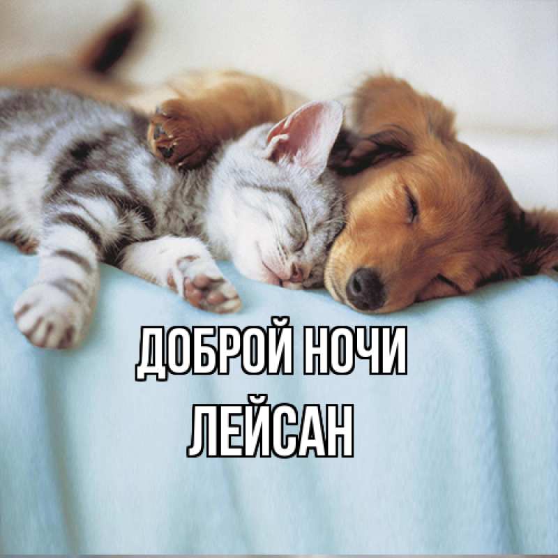 Картинка Доброй ночи, Лейсан