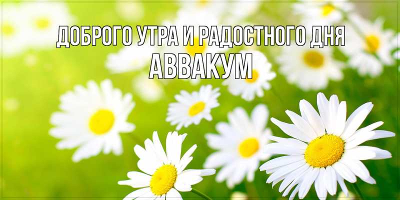 Картинка Доброго утра и радостного дня, Аввакум