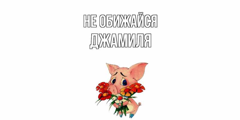 Картинка Не обижайся, Джамиля