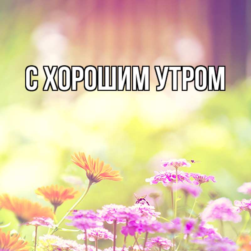 Картинка Люблю тебя, Лида