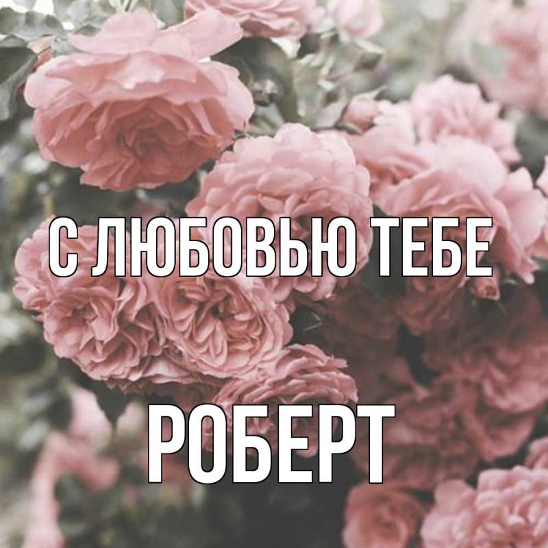 Картинка С любовью тебе, Роберт