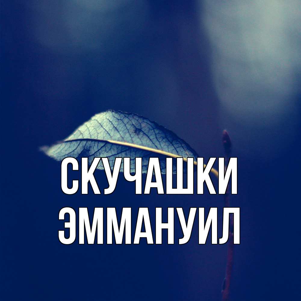 Открытка на каждый день с именем, Эммануил Скучашки одна ветка 1 Прикольная открытка с пожеланием онлайн скачать бесплатно 