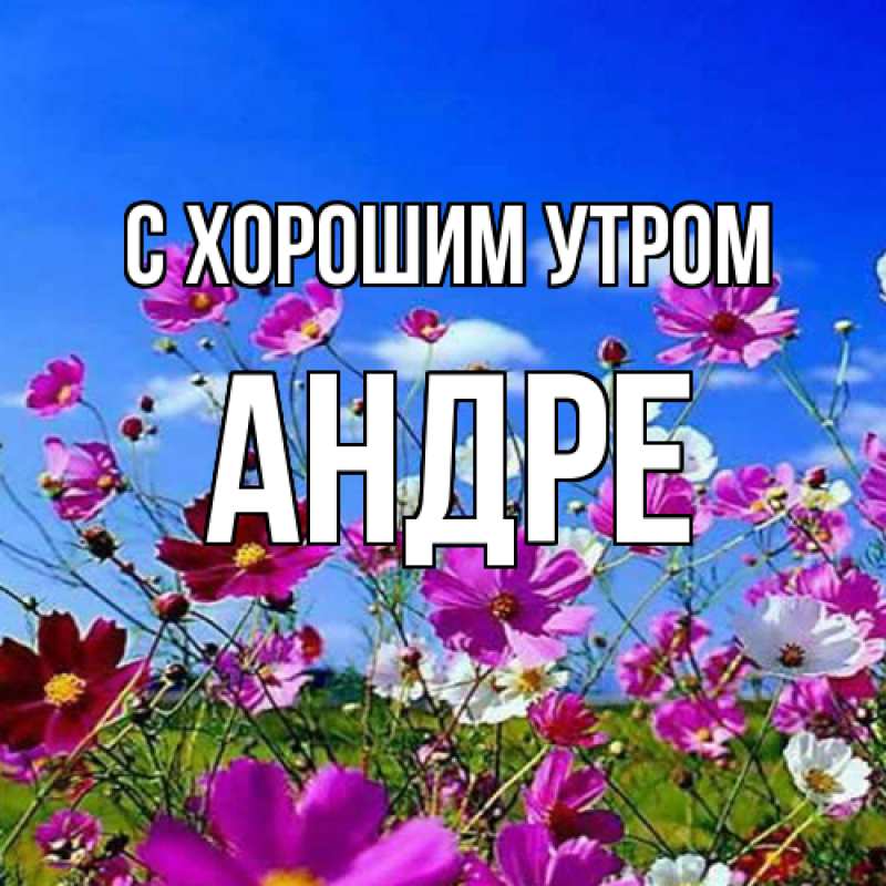 Картинка С хорошим утром, Андре