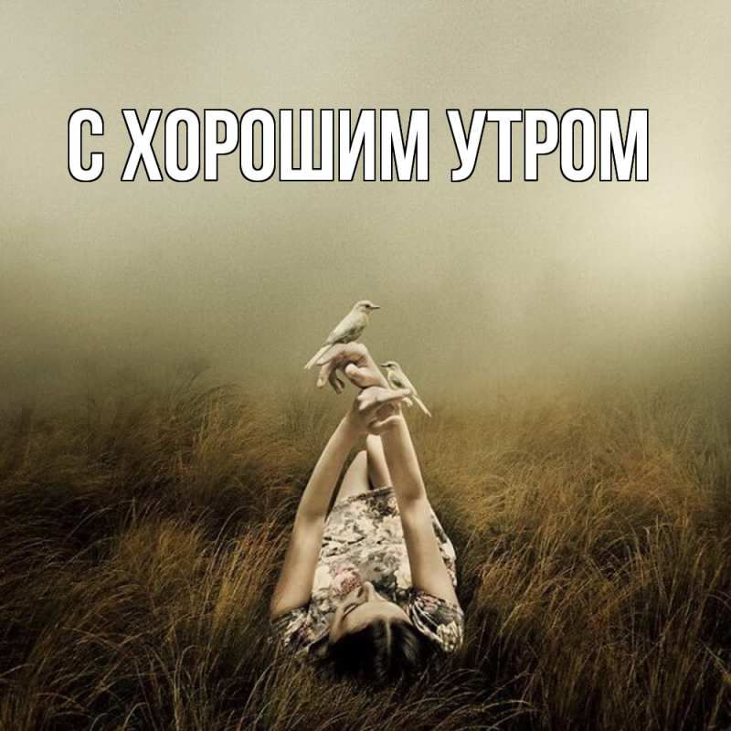 Картинка Скучашки, Трифон