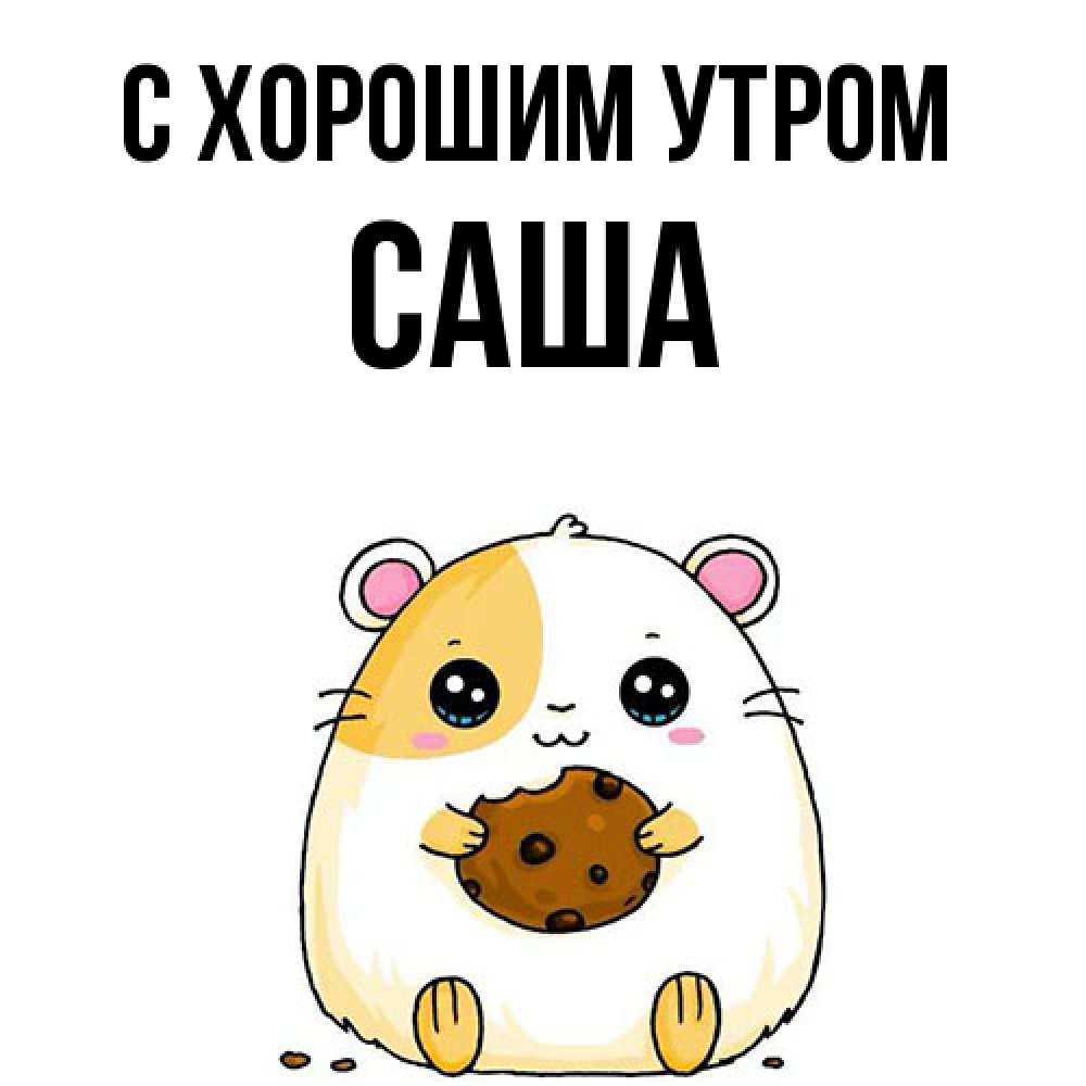 Открытка на каждый день с именем, Саша С хорошим утром есть печеньку. Утречко Прикольная открытка с пожеланием онлайн скачать бесплатно 