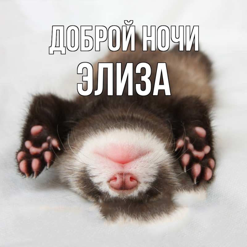 Открытка с именем, Элиза, Доброй ночи