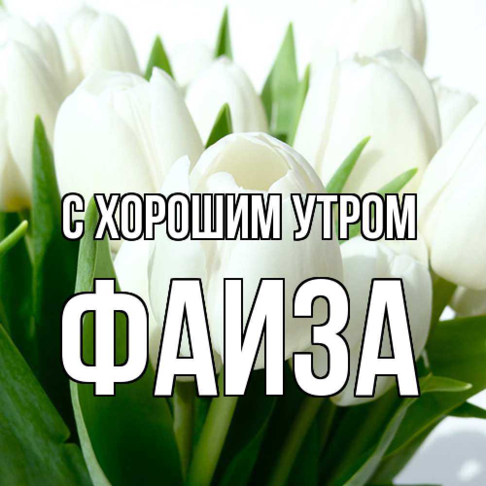 Открытка на каждый день с именем, Фаиза С хорошим утром открытки на каждый день по именам Прикольная открытка с пожеланием онлайн скачать бесплатно 