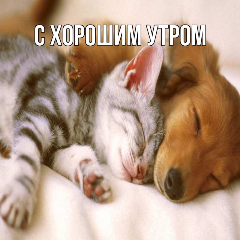 Картинка Обнимашки, Анеля