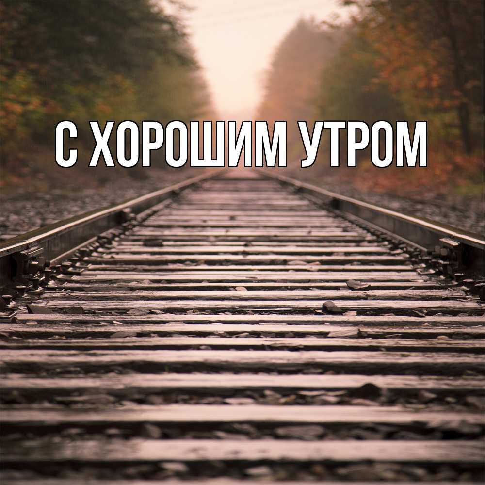 Открытка на каждый день с именем, Трифон Скучашки приезжай Прикольная открытка с пожеланием онлайн скачать бесплатно 