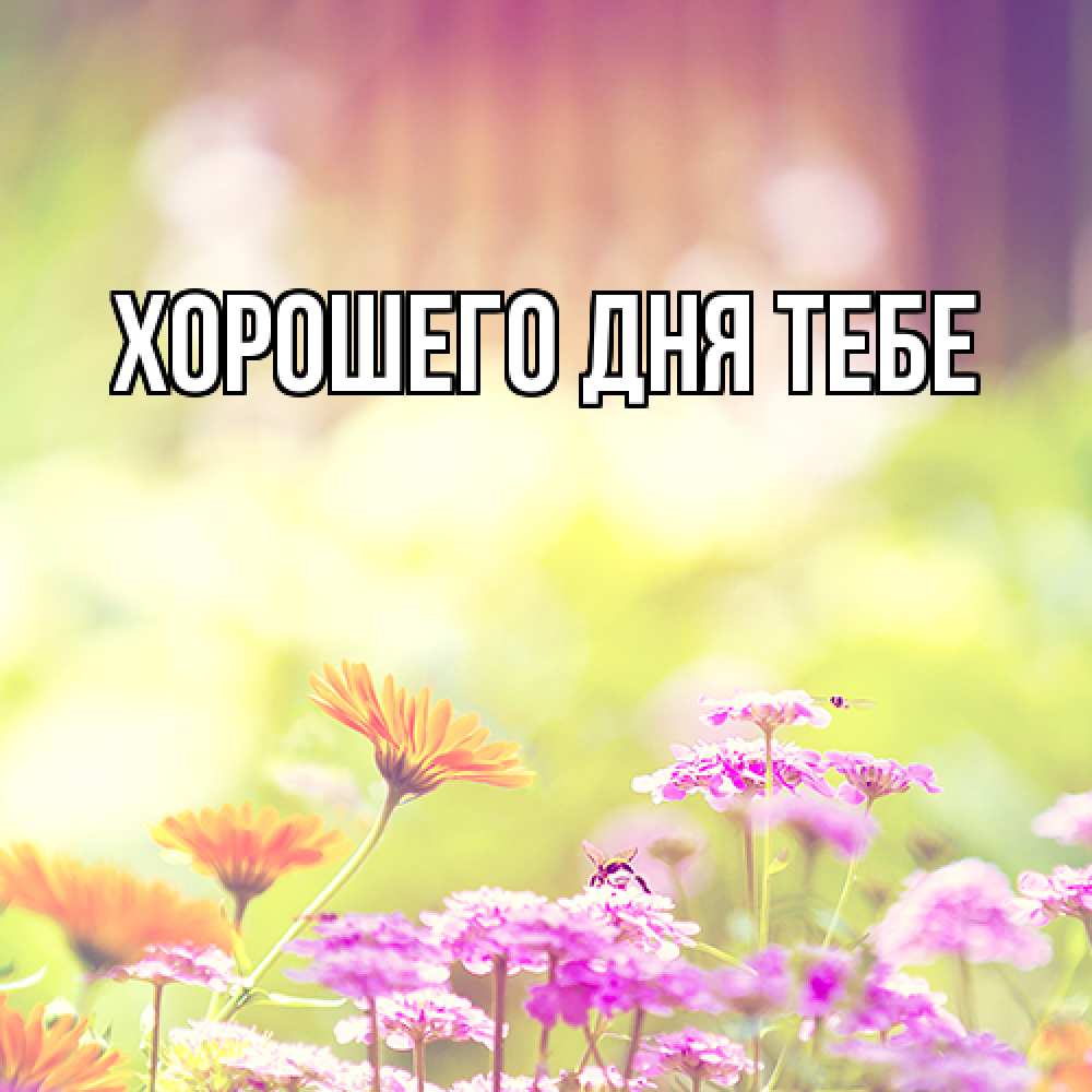 Открытка на каждый день с именем, Гастон Люблю тебя цветы весна Прикольная открытка с пожеланием онлайн скачать бесплатно 