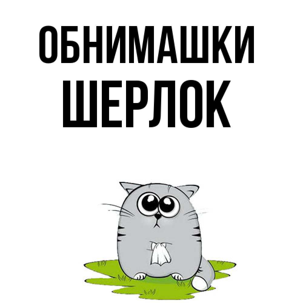 Открытка на каждый день с именем, Шерлок Обнимашки котик теребит платочек сидя на травке Прикольная открытка с пожеланием онлайн скачать бесплатно 