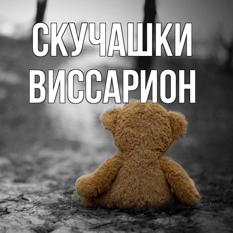 Картинка Скучашки, Виссарион