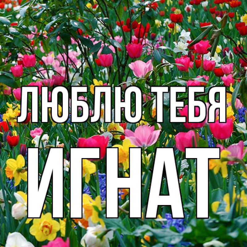 Открытка с именем, Игнат, Люблю тебя