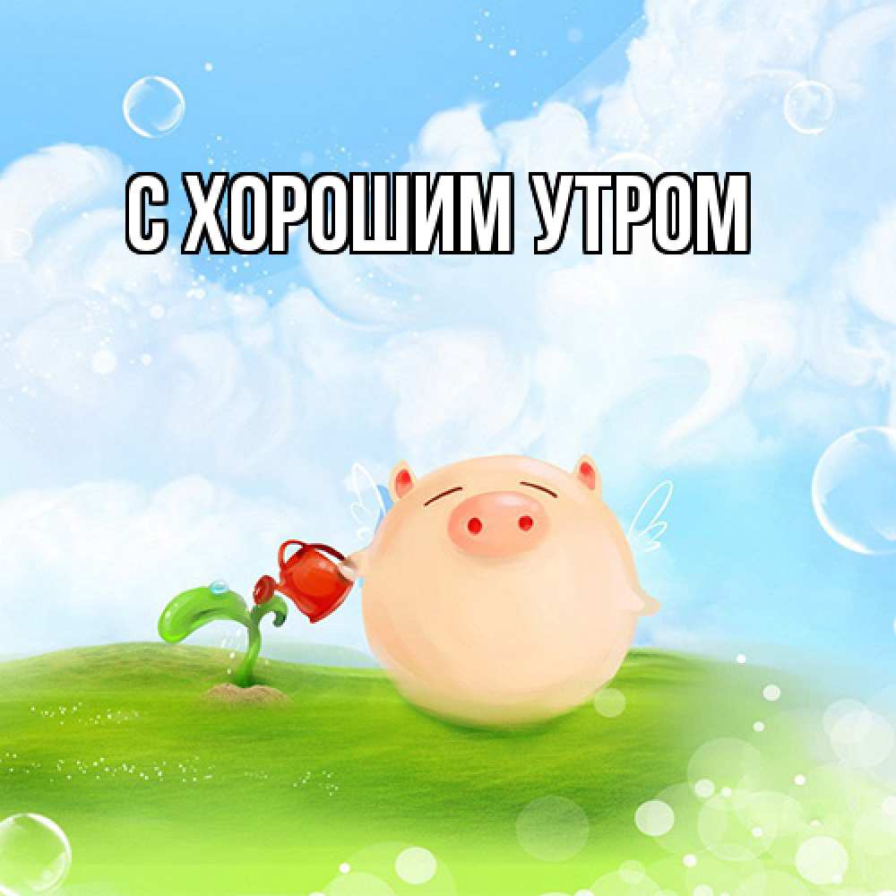 Открытка на каждый день с именем, Ждан Удачи тебе поросенок поливает цветок. летнее настроение Прикольная открытка с пожеланием онлайн скачать бесплатно 