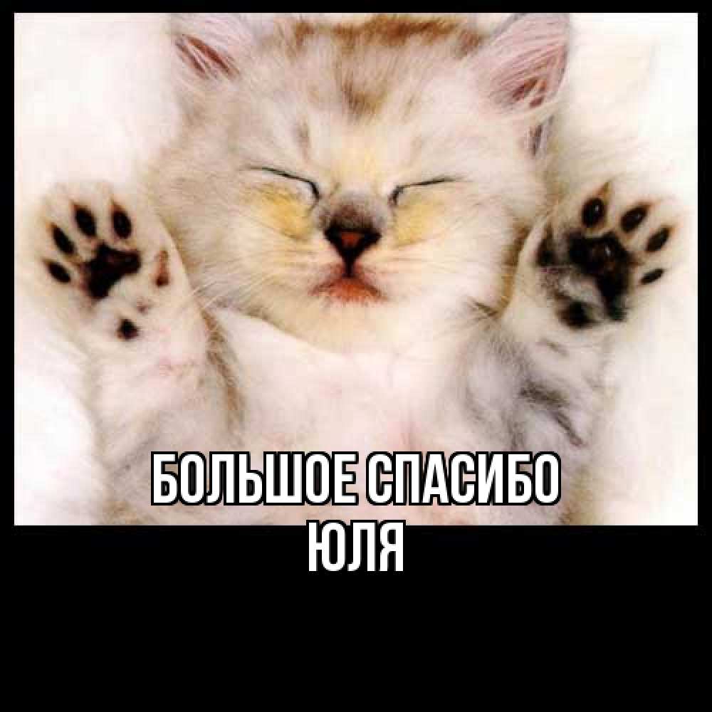 Открытка на каждый день с именем, Юля Большое спасибо маленький котенок Прикольная открытка с пожеланием онлайн скачать бесплатно 