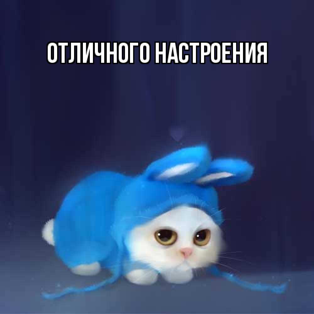 Открытка на каждый день с именем, Серафима Не обижайся невинный котозай просит прощения Прикольная открытка с пожеланием онлайн скачать бесплатно 