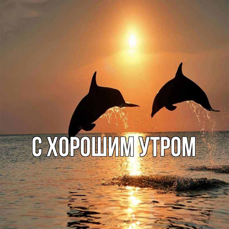 Картинка Обнимашки, Слава