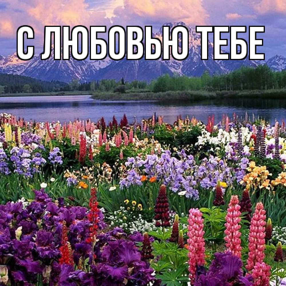 Открытка на каждый день с именем, Аза Люблю тебя международный женский день Прикольная открытка с пожеланием онлайн скачать бесплатно 