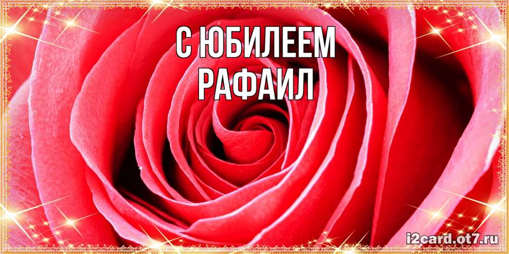 Открытка на каждый день с именем, Рафаил C юбилеем розовая роза очень крупный бутон Прикольная открытка с пожеланием онлайн скачать бесплатно 