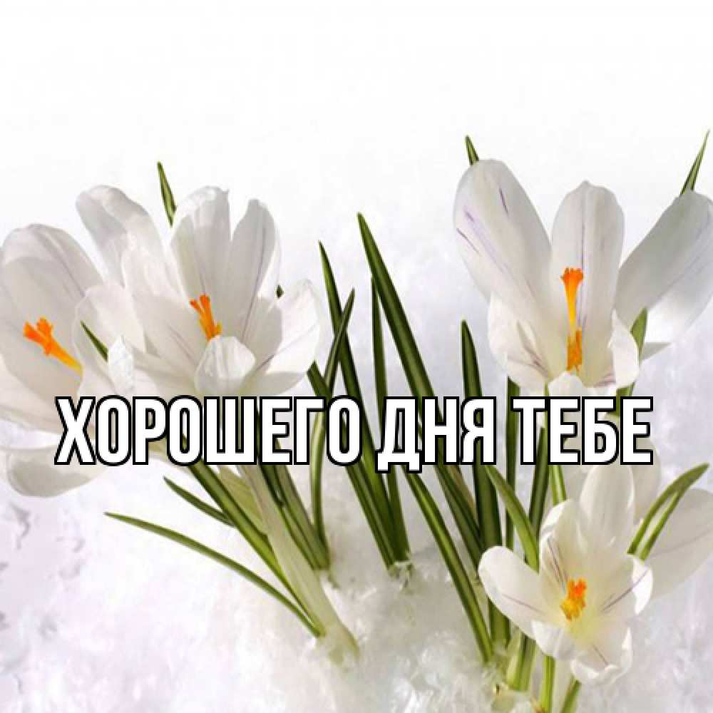 Открытка на каждый день с именем, Измаил Люблю тебя под снегом Прикольная открытка с пожеланием онлайн скачать бесплатно 