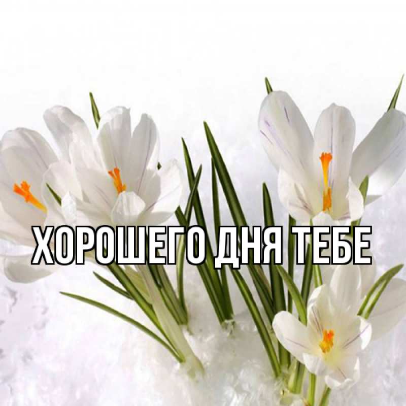 Картинка Люблю тебя, Измаил