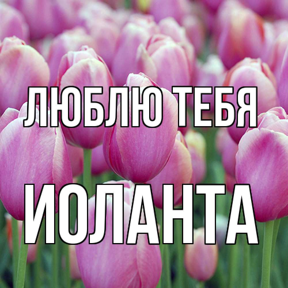 Открытка на каждый день с именем, Иоланта Люблю тебя на международный женский день 3 Прикольная открытка с пожеланием онлайн скачать бесплатно 