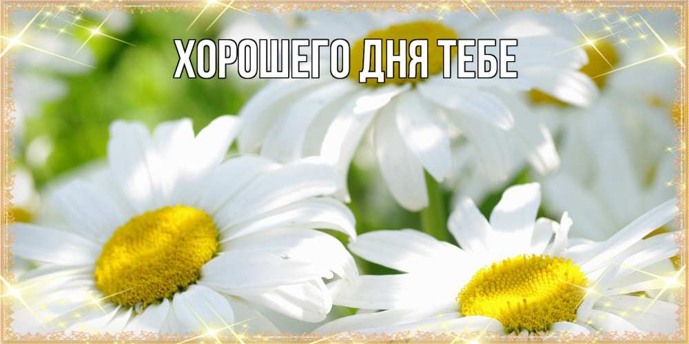 Открытка на каждый день с именем, Гастон Люблю тебя красивые открытки с белыми цветами на международный женский день Прикольная открытка с пожеланием онлайн скачать бесплатно 