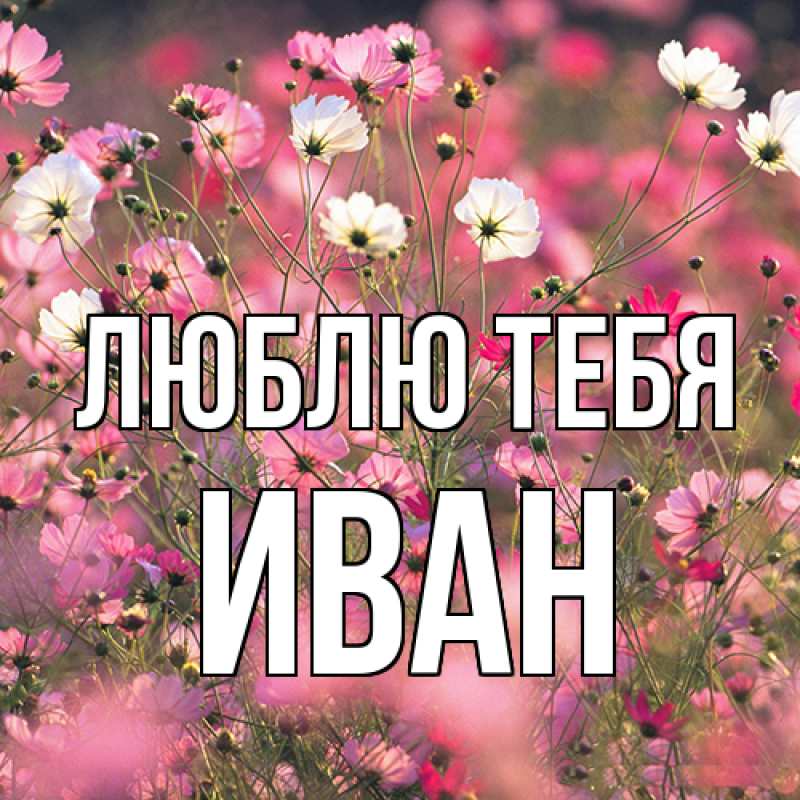 Картинка Люблю тебя, Иван