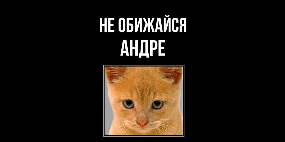 Открытка на каждый день с именем, Андре Не обижайся рыжий грустный кот просит прощения Прикольная открытка с пожеланием онлайн скачать бесплатно 