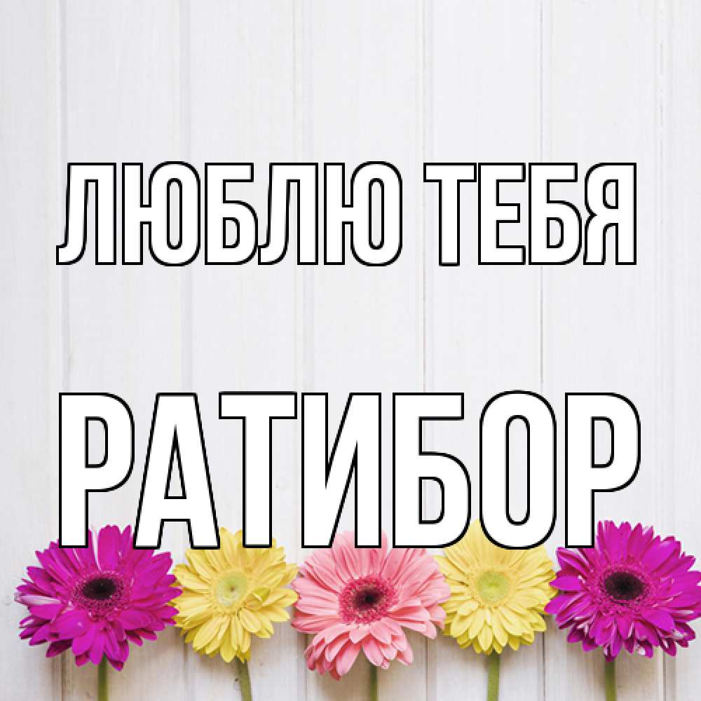 Открытка на каждый день с именем, Ратибор Люблю тебя женщинам 1 Прикольная открытка с пожеланием онлайн скачать бесплатно 