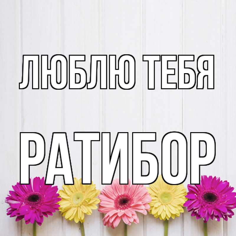 Картинка Люблю тебя, Ратибор