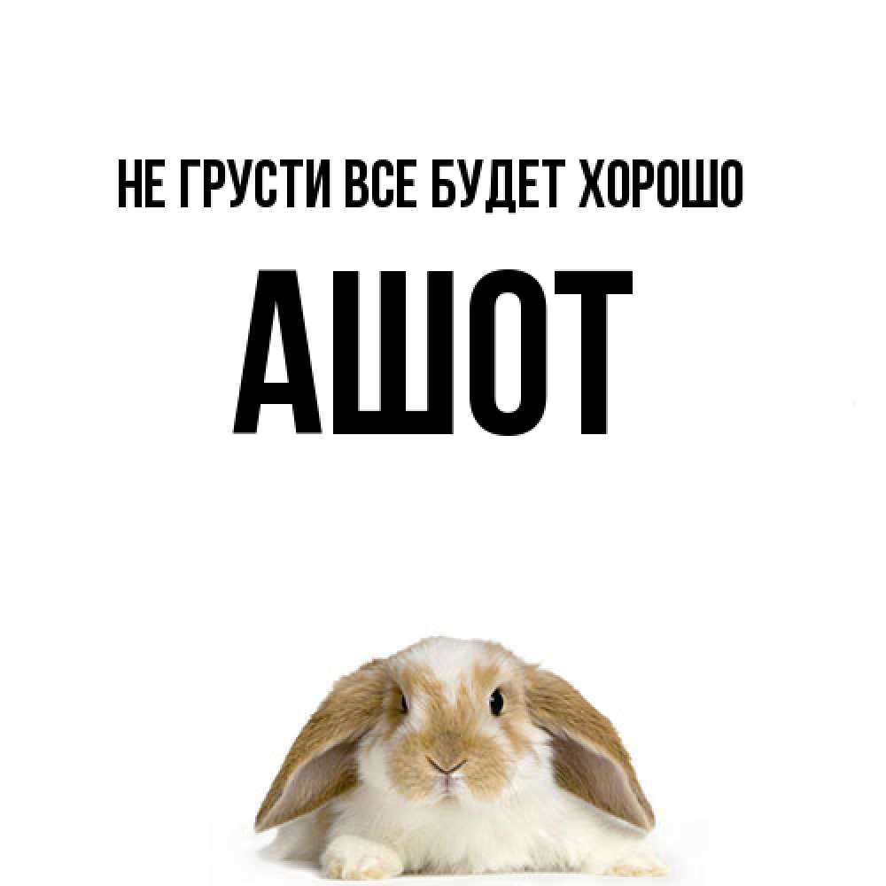 Открытка на каждый день с именем, Ашот Не грусти все будет хорошо коричнево белый заяц с большими ушками Прикольная открытка с пожеланием онлайн скачать бесплатно 