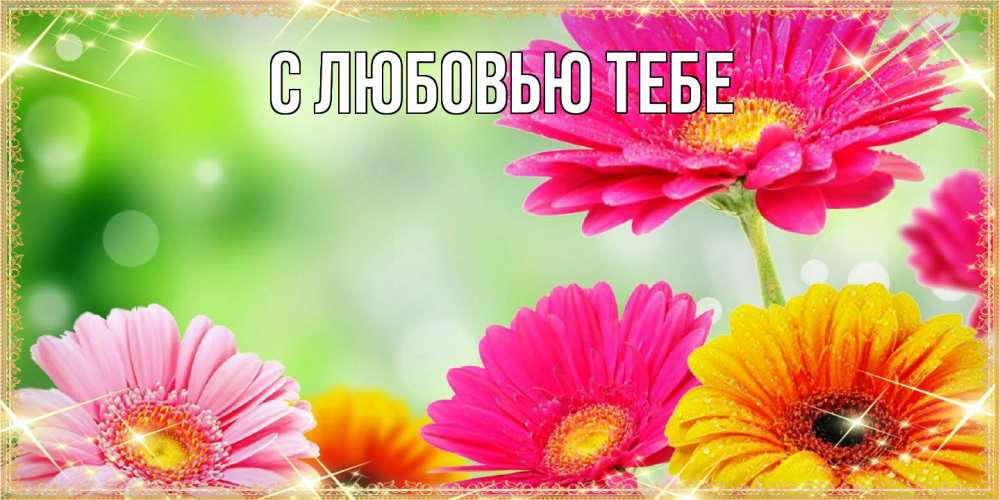 Открытка на каждый день с именем, Аза Люблю тебя цветочки для любимой женщины Прикольная открытка с пожеланием онлайн скачать бесплатно 